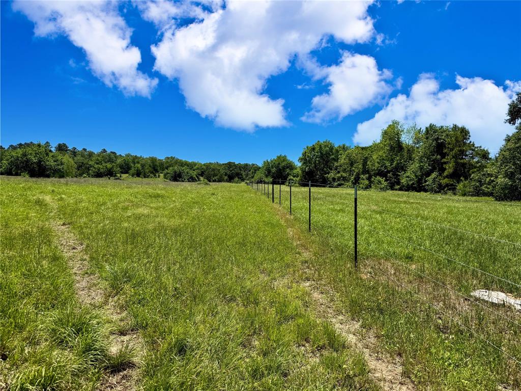 TBD County Rd 407, Navasota, Texas image 25