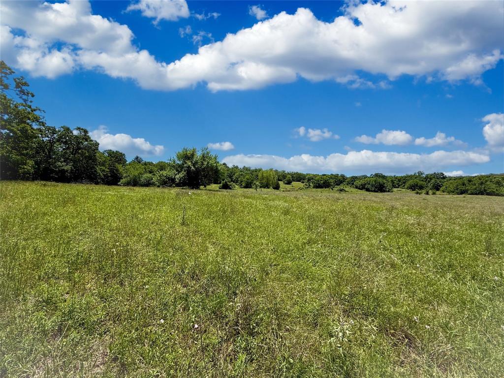 TBD County Rd 407, Navasota, Texas image 24