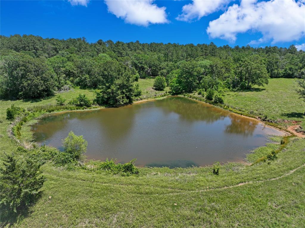 TBD County Rd 407, Navasota, Texas image 31