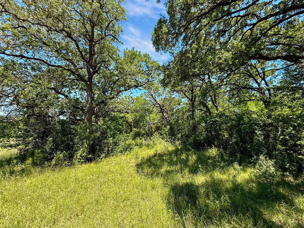 TBD County Rd 407, Navasota, Texas image 13