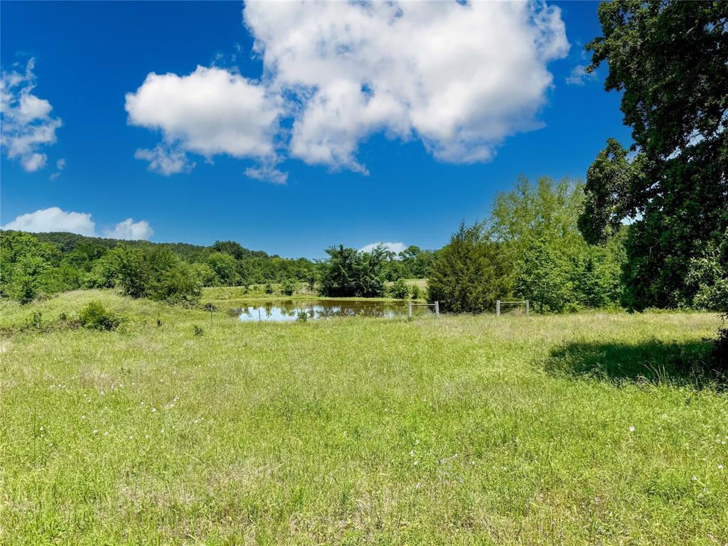 TBD County Rd 407, Navasota, Texas image 6