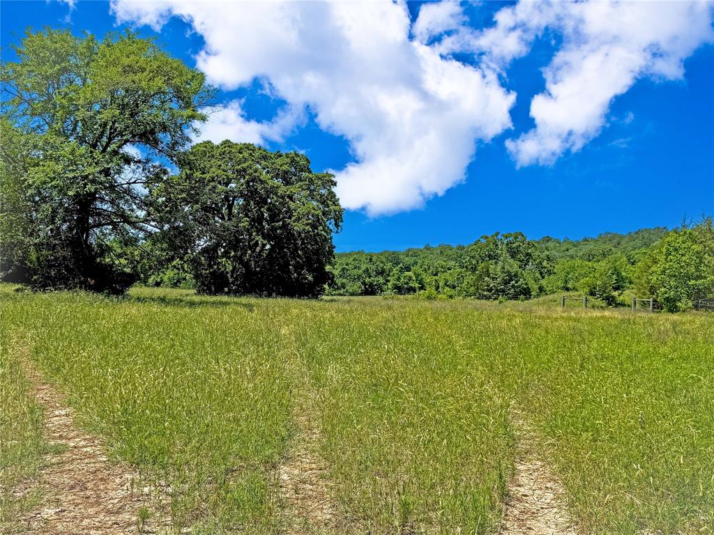 TBD County Rd 407, Navasota, Texas image 30