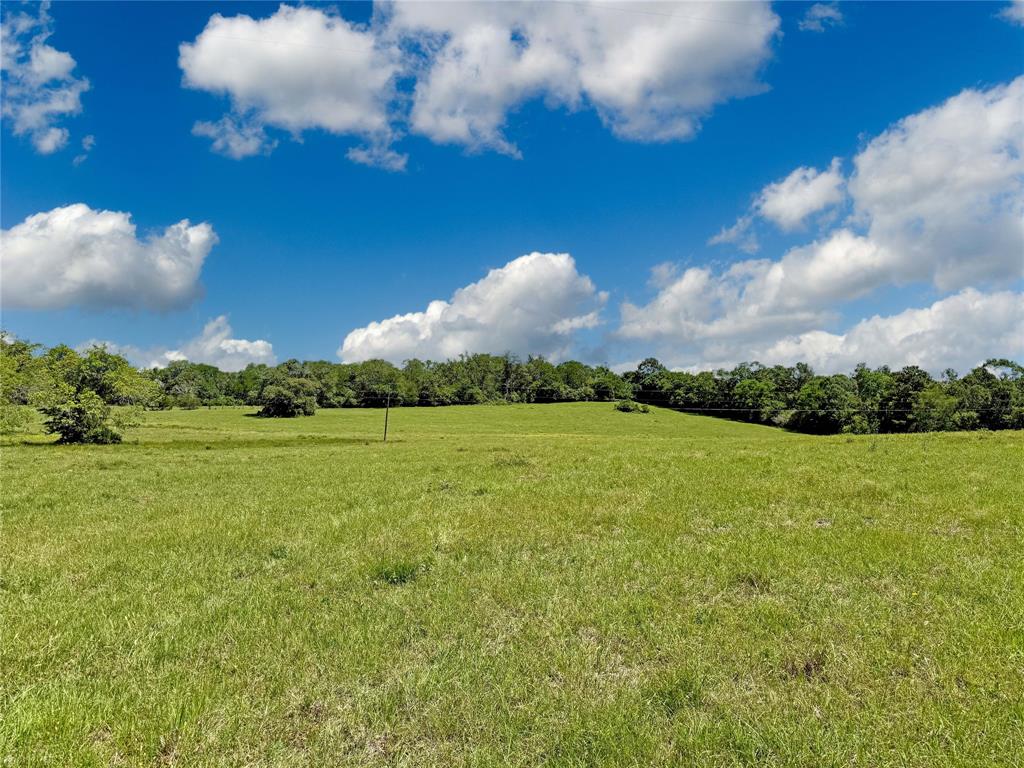 TBD County Rd 407, Navasota, Texas image 18