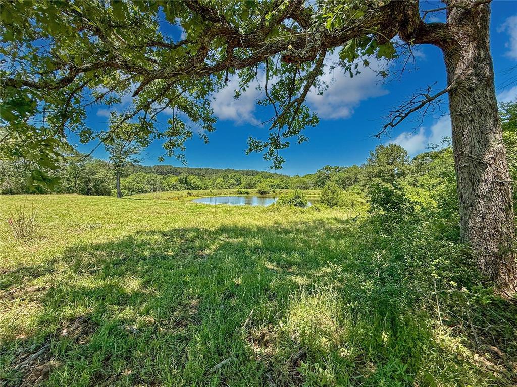 TBD County Rd 407, Navasota, Texas image 2