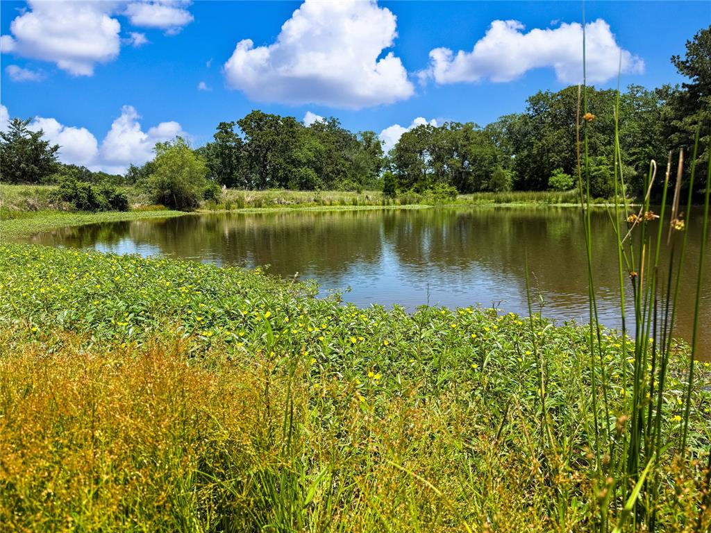 TBD County Rd 407, Navasota, Texas image 29