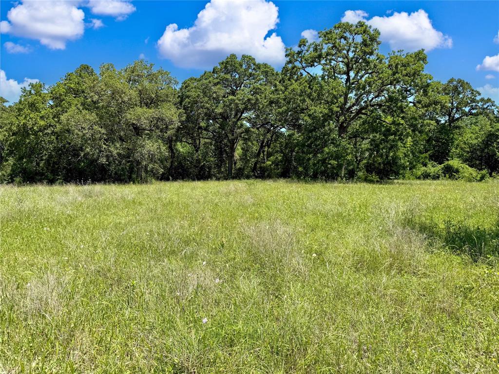 TBD County Rd 407, Navasota, Texas image 9