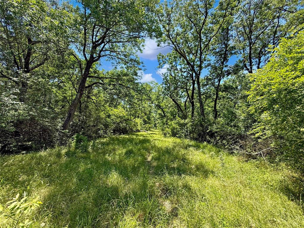 TBD County Rd 407, Navasota, Texas image 16