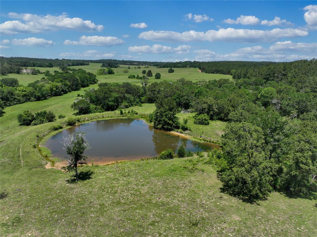 TBD County Rd 407, Navasota, Texas image 33
