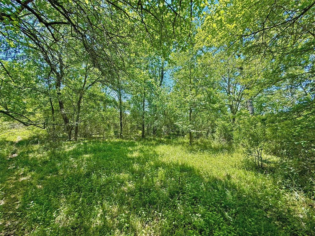 TBD County Rd 407, Navasota, Texas image 17