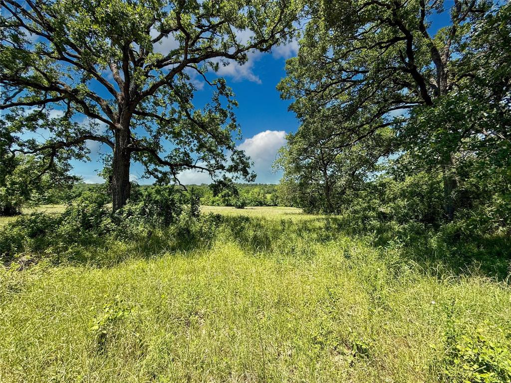 TBD County Rd 407, Navasota, Texas image 11