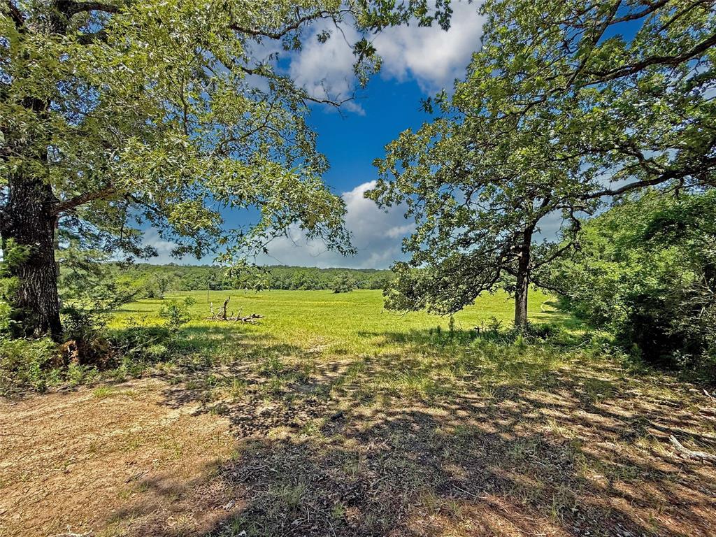 TBD County Rd 407, Navasota, Texas image 23