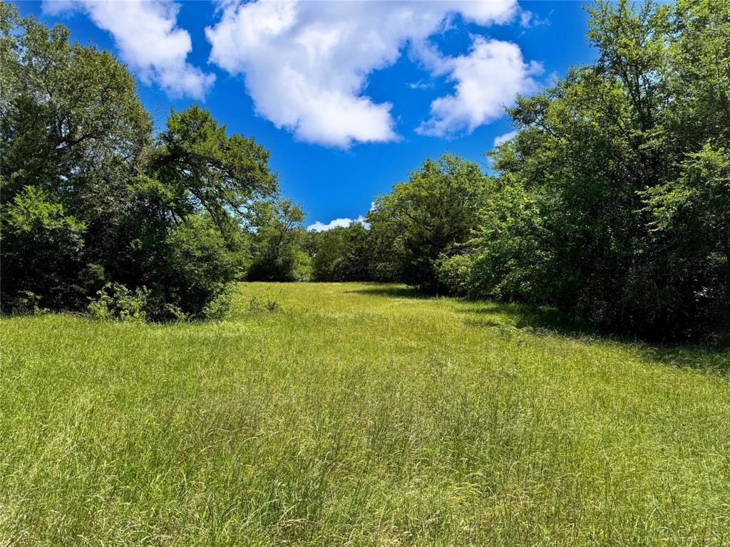 TBD County Rd 407, Navasota, Texas image 12