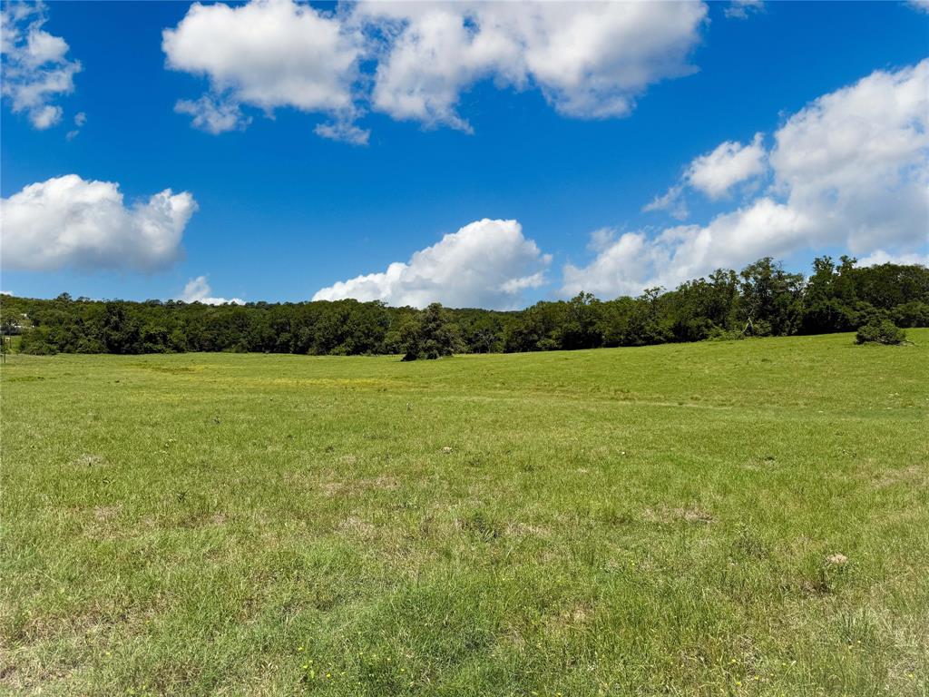 TBD County Rd 407, Navasota, Texas image 4