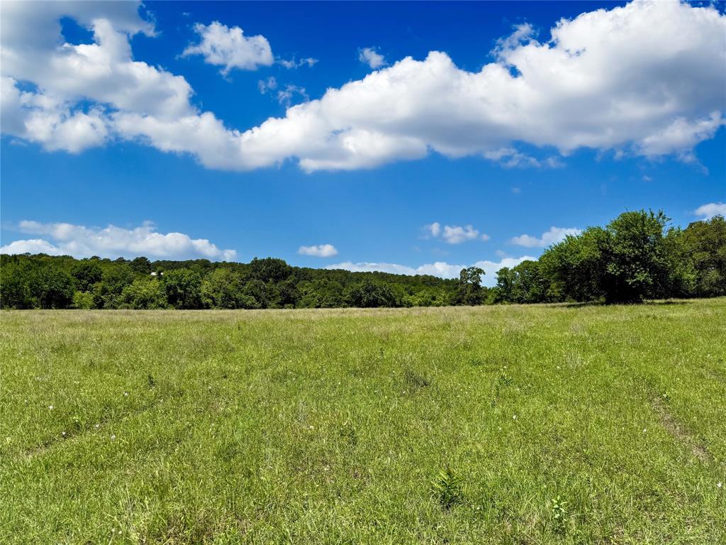 TBD County Rd 407, Navasota, Texas image 7