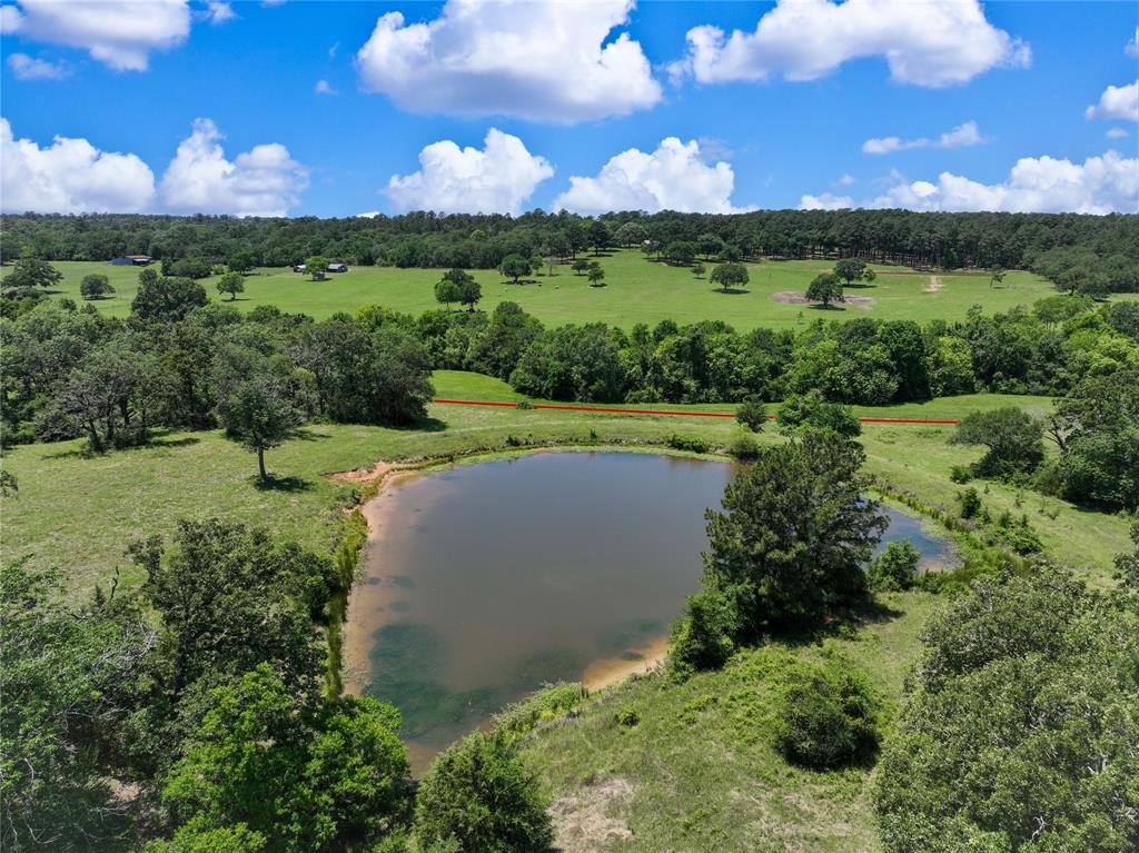 TBD County Rd 407, Navasota, Texas image 32
