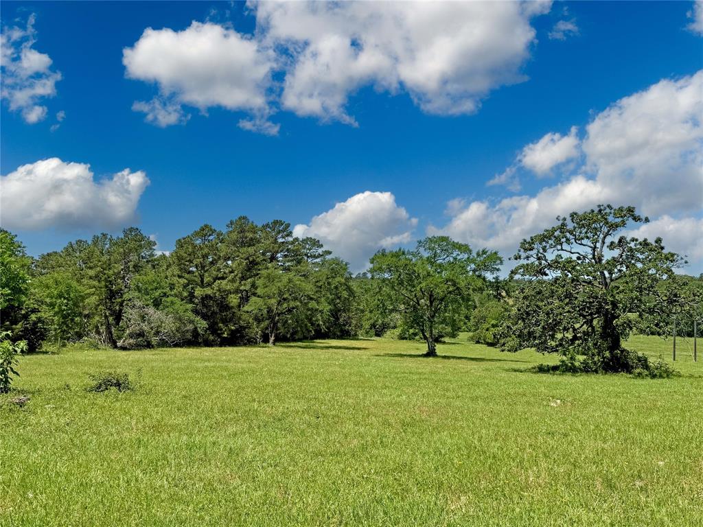 TBD County Rd 407, Navasota, Texas image 21