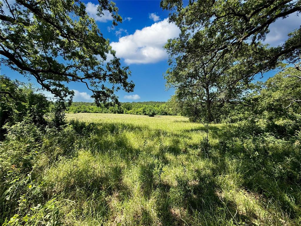 TBD County Rd 407, Navasota, Texas image 10