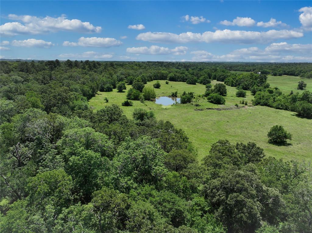 TBD County Rd 407, Navasota, Texas image 26