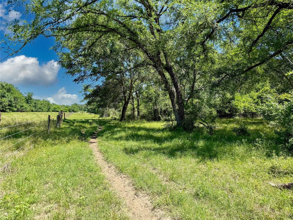 TBD County Rd 407, Navasota, Texas image 14