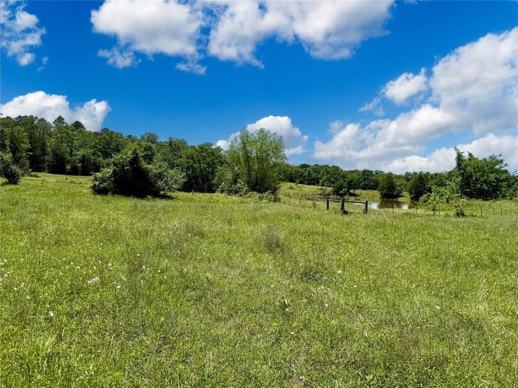 TBD County Rd 407, Navasota, Texas image 8