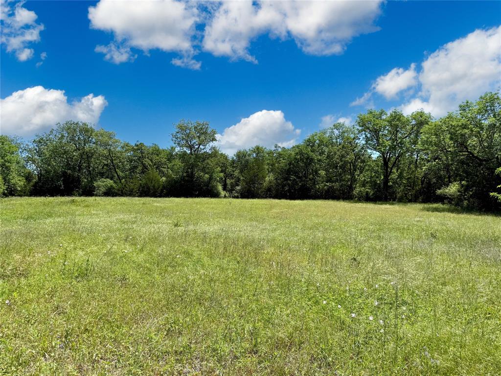 TBD County Rd 407, Navasota, Texas image 5