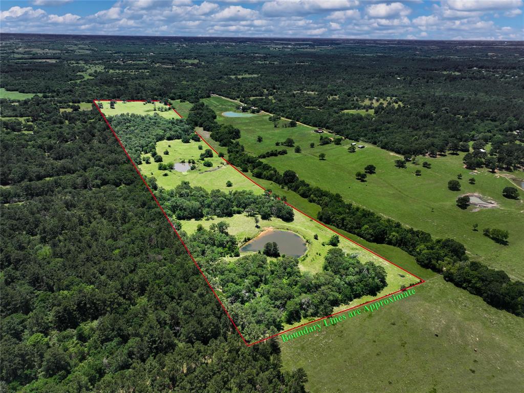 TBD County Rd 407, Navasota, Texas image 36