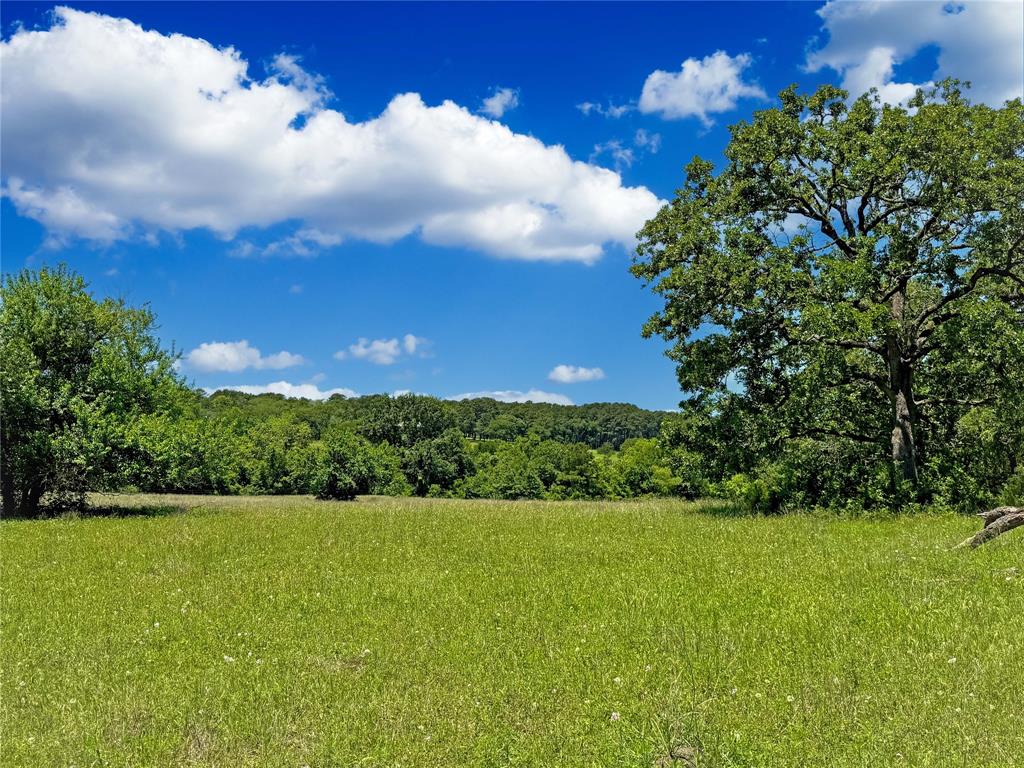TBD County Rd 407, Navasota, Texas image 1