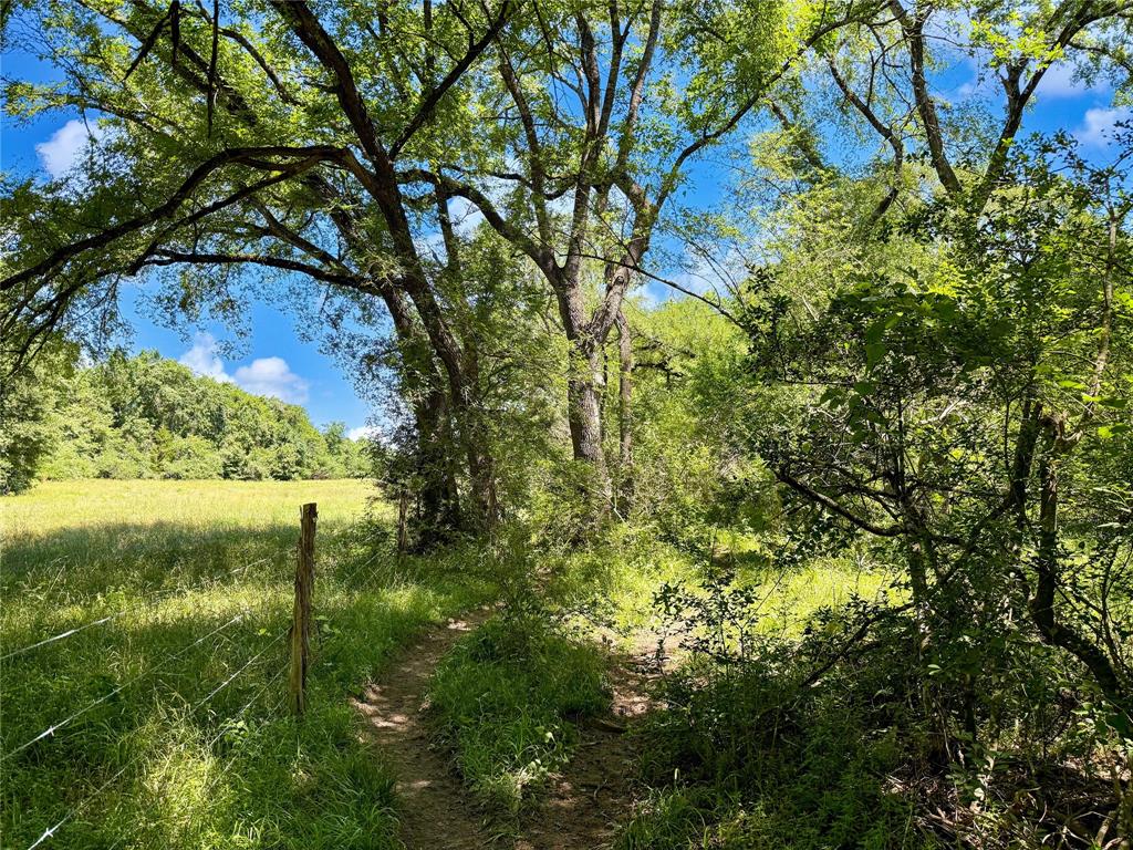 TBD County Rd 407, Navasota, Texas image 15