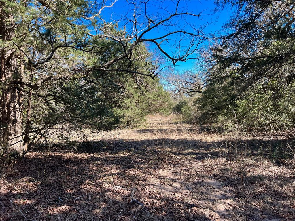 TBD Cr 392, Jewett, Texas image 1