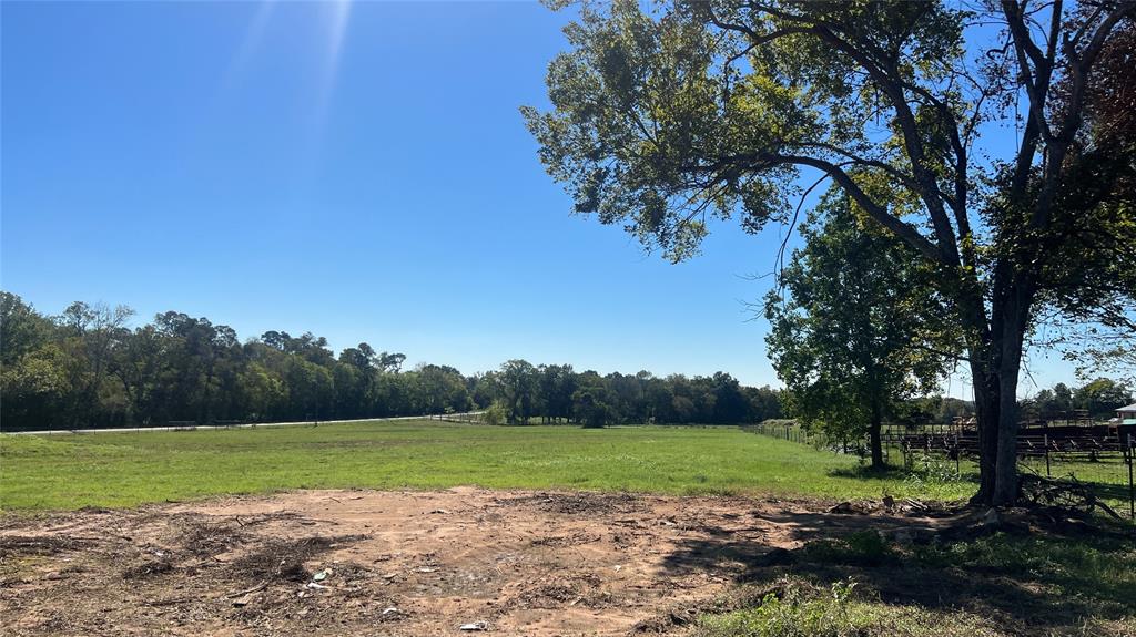 Lot 2 Cr 319, Navasota, Texas image 6