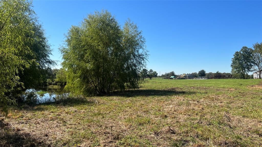 Lot 2 Cr 319, Navasota, Texas image 1