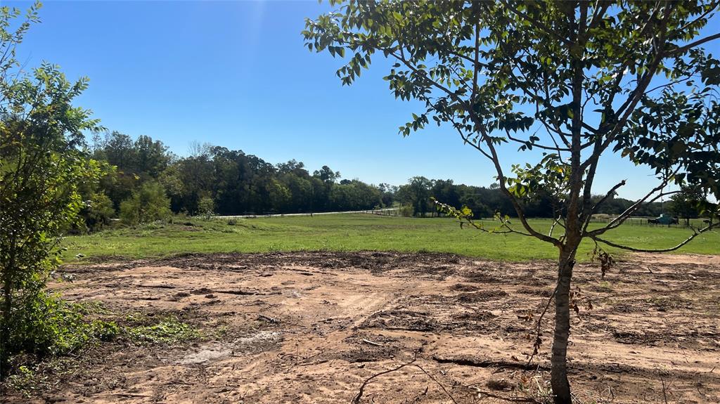 Lot 2 Cr 319, Navasota, Texas image 4