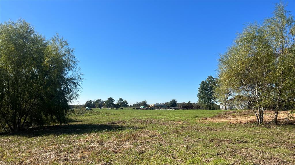 Lot 2 Cr 319, Navasota, Texas image 1