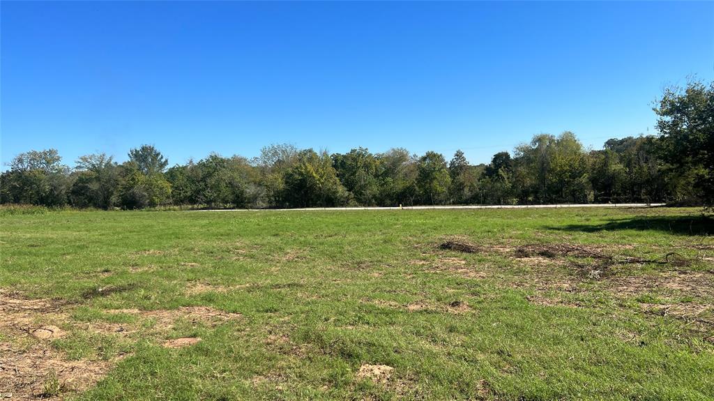 Lot 2 Cr 319, Navasota, Texas image 2