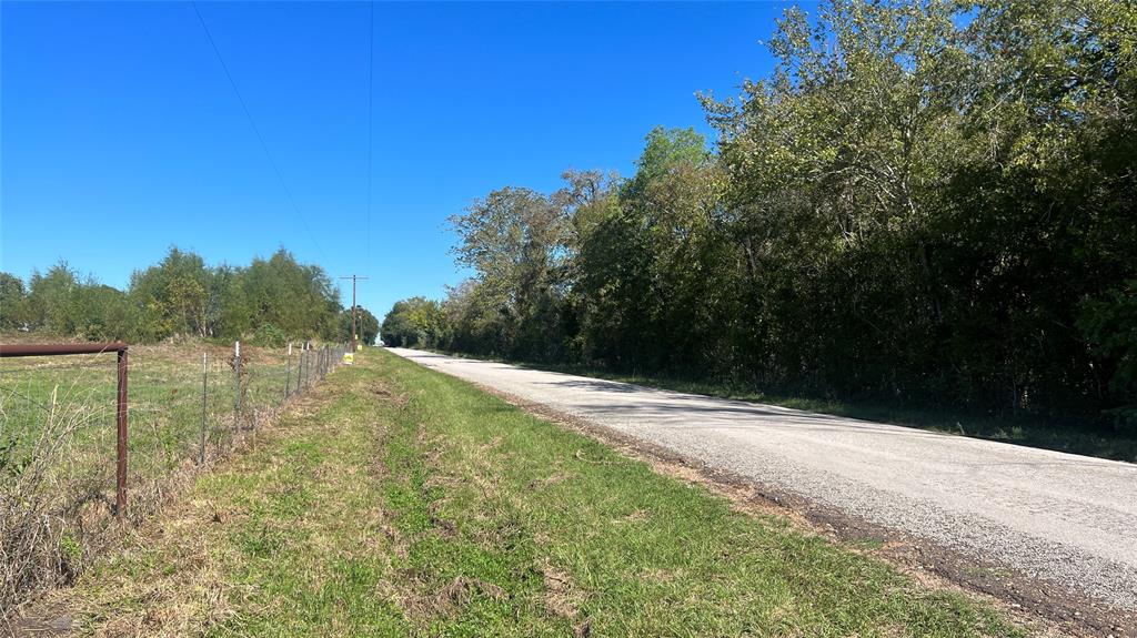 Lot 2 Cr 319, Navasota, Texas image 13