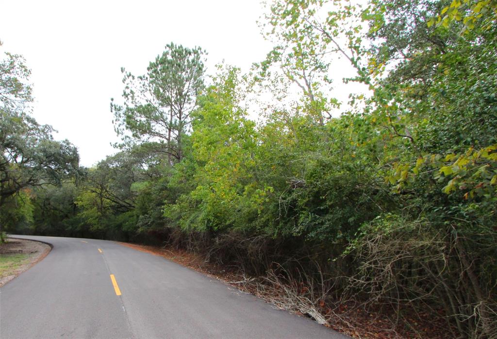 County Road 331, Rosharon, Texas image 7