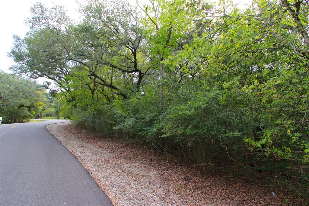 County Road 331, Rosharon, Texas image 3