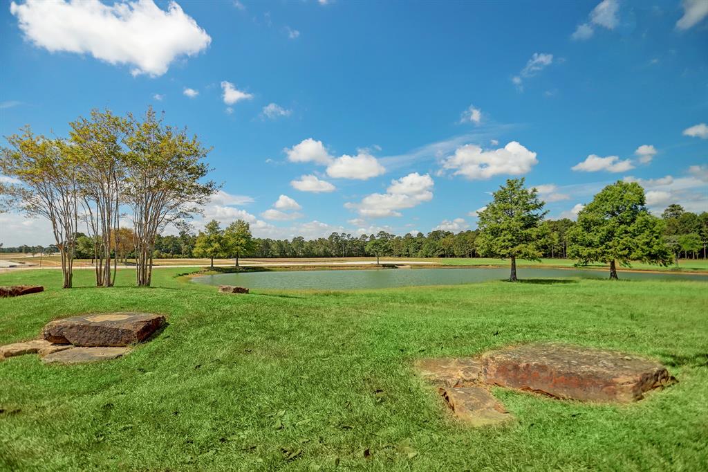 2211 Stallion Lakes Avenue, Hockley, Texas image 13
