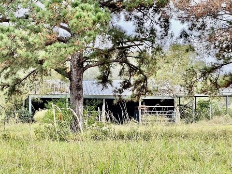 A home in Woodville