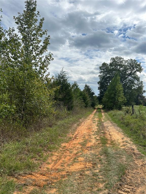 AB 77 Co Rd 1675, Grapeland, Texas image 6