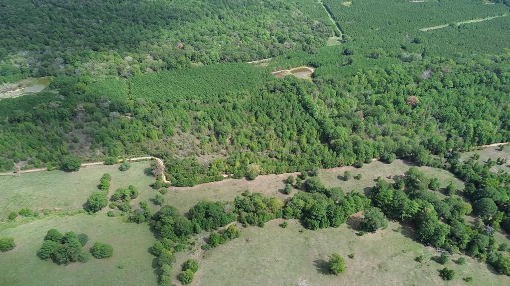 AB 77 Co Rd 1675, Grapeland, Texas image 14