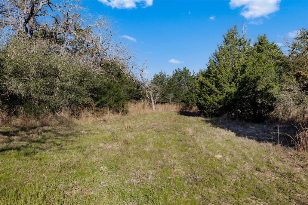 6725 S Sycamore Crossing Road, Bellville, Texas image 24