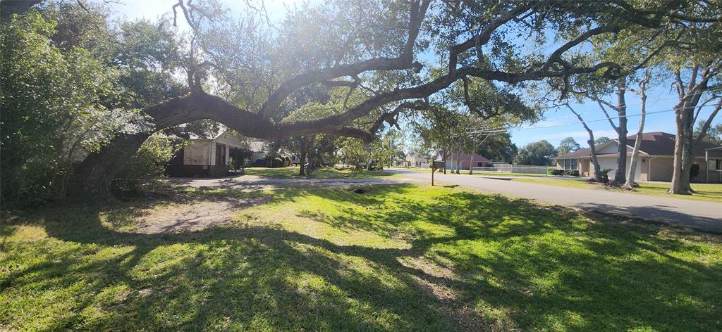 4509 Peck Avenue, Santa Fe, Texas image 14