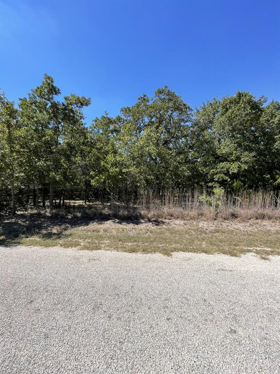 TBD Chocktaw Crest, Somerville, Texas image 3