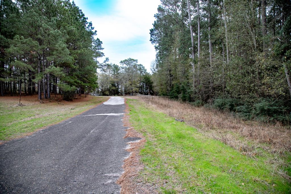 16438 Grand Flower Road, Plantersville, Texas image 8