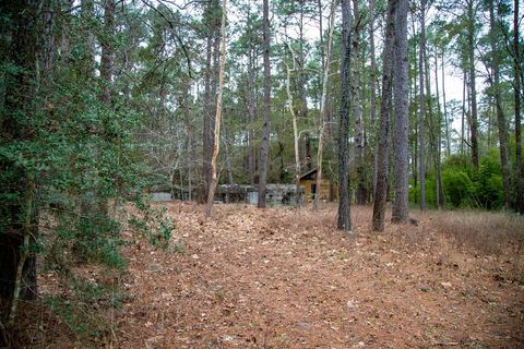 Photo of 16438 Grand Flower Road, Plantersville, TX 77363 (MLS # 20894252)
