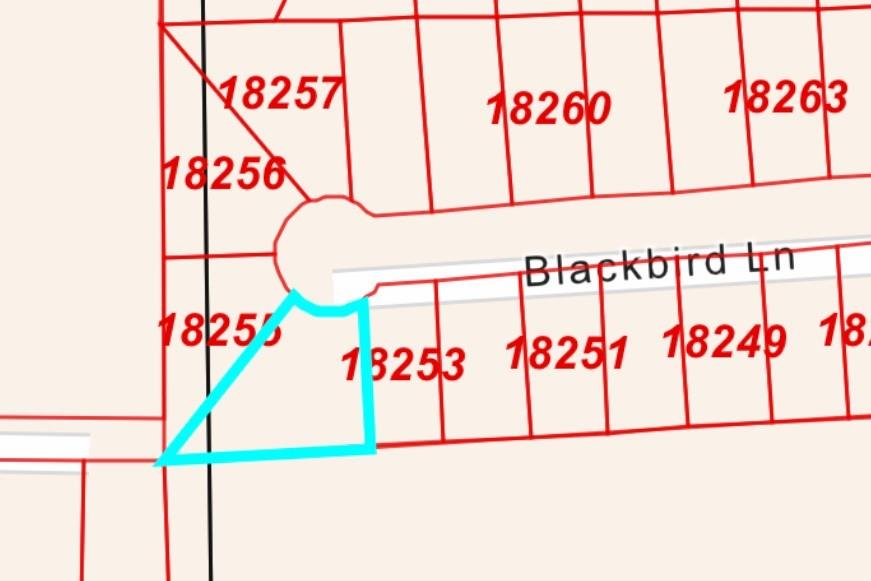 LOT 10 Blackbird Lane, Hempstead, Texas image 1