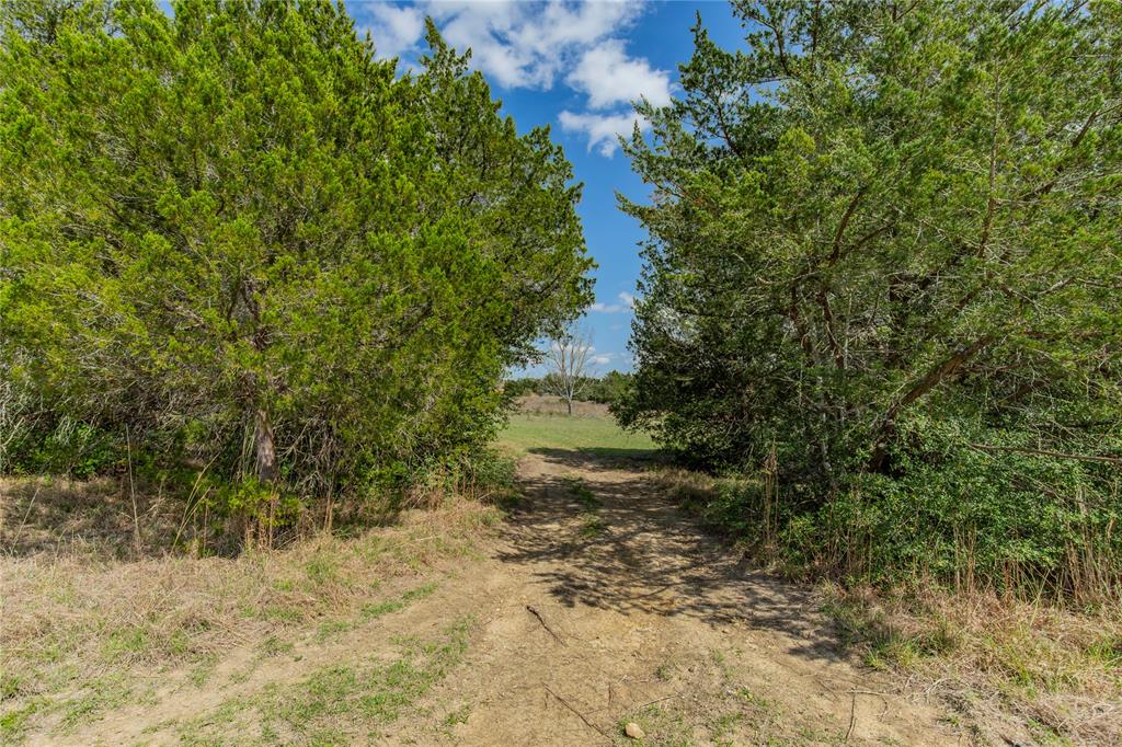 1545 S Loop 497, Bellville, Texas image 22