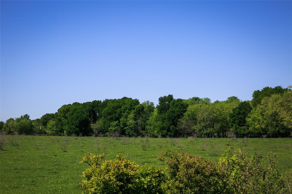 TRACT 7 Caney Creek Road, Chappell Hill, Texas image 3