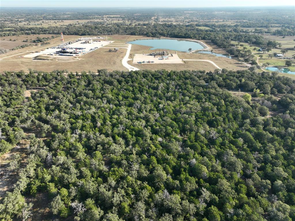 TBD Bascome Lane, Carmine, Texas image 6